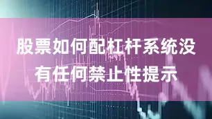 股票如何配杠杆系统没有任何禁止性提示