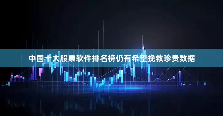 中国十大股票软件排名榜仍有希望挽救珍贵数据