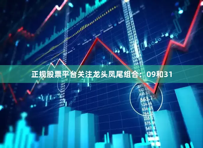 正规股票平台关注龙头凤尾组合：09和31