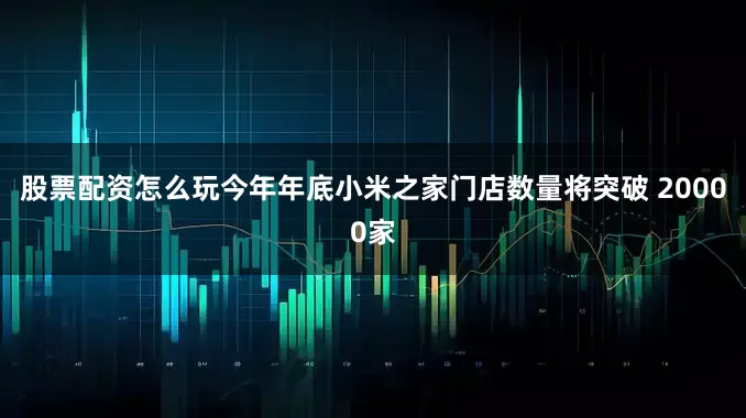 股票配资怎么玩今年年底小米之家门店数量将突破 20000家
