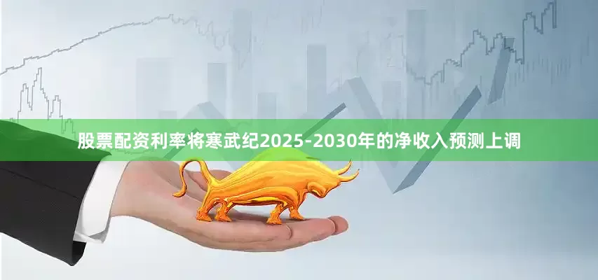 股票配资利率将寒武纪2025-2030年的净收入预测上调