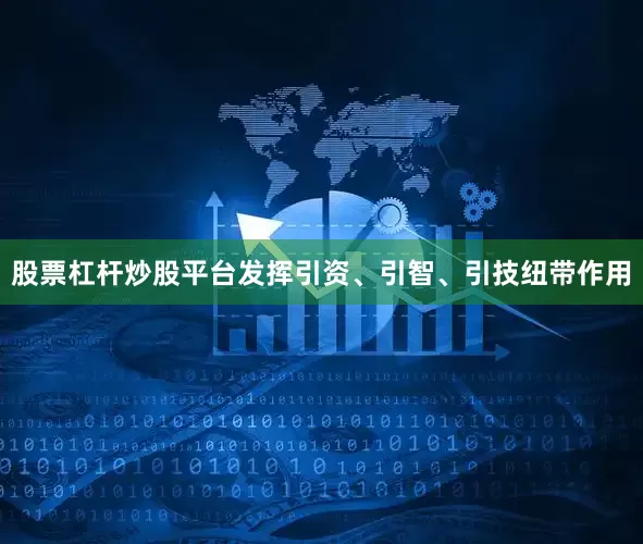 股票杠杆炒股平台发挥引资、引智、引技纽带作用