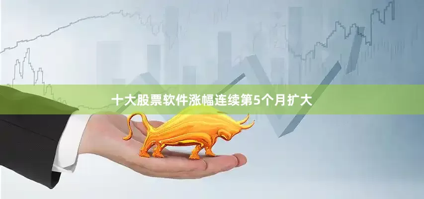 十大股票软件涨幅连续第5个月扩大
