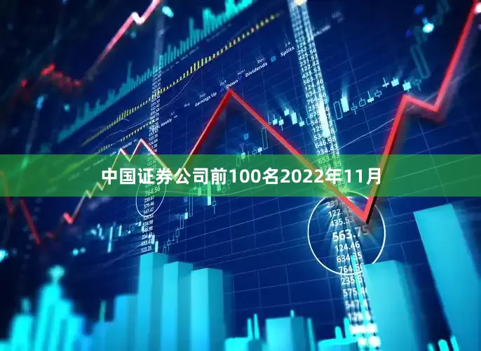 中国证券公司前100名　　2022年11月