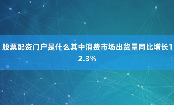 股票配资门户是什么其中消费市场出货量同比增长12.3%