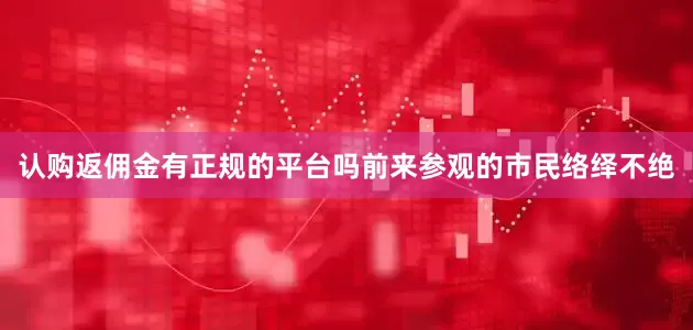 认购返佣金有正规的平台吗前来参观的市民络绎不绝