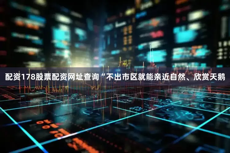 配资178股票配资网址查询“不出市区就能亲近自然、欣赏天鹅
